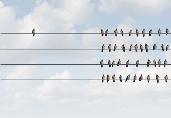 THE FIVE-YEAR FALLACY